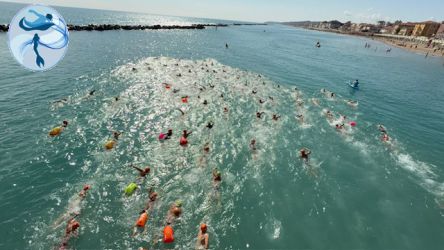 SirensSwim2025 (2).jpg